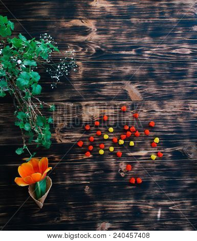 Tulips With Sweets In A Waffle Horn On A Wooden Background.