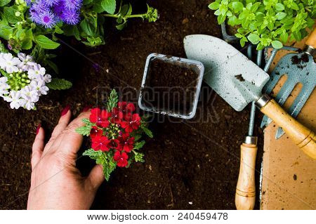 Woman Planting Flowers In The Soil First Person View