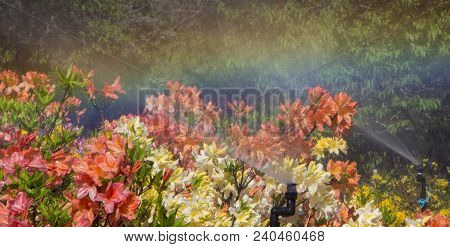 Automatic Watering The Flowers In The Park On A Sunny Morning.
