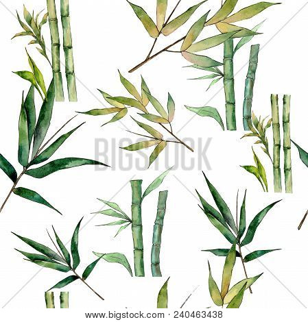 Bamboo Tree Pattern In A Watercolor Style. Aquarelle Wild Bamboo Tree For Background, Texture, Wrapp