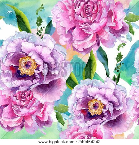 Wildflower Peony Pink Flower Pattern In A Watercolor Style. Aquarelle Wildflower For Background, Tex