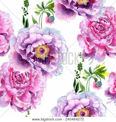 Wildflower Peony Pink Flower Pattern In A Watercolor Style. Aquarelle Wildflower For Background, Tex