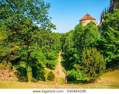 Deer's Moat At Prague Castle, Prague, Czech Republic
