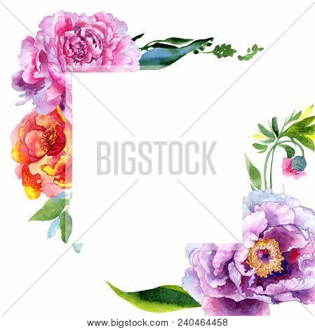 Wildflower Peony Pink Flower Frame In A Watercolor Style. Aquarelle Wildflower For Background, Textu
