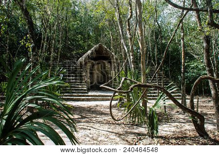 Ancient Ruins And Trees At The Archaeological Site Of Coba