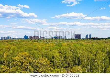 View Of Green Woods Of Timiryazevsky Park In Moscow City In Sunny Summer Day