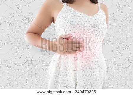 Asian Woman Holds The Liver. Human Pain In The Abdomen And Internal Organs Against Illustration Orga