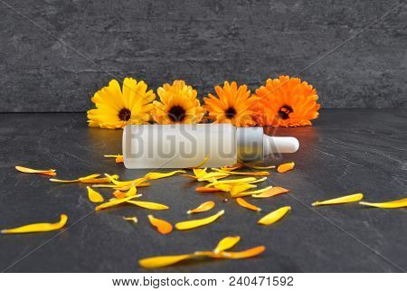 Colorful And Crisp Image Of Natural Cosmetics, Common Marigold And Petals On Shale