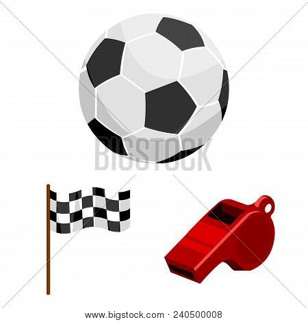 Different Kinds Of Sports Cartoon Icons In Set Collection For Design. Sport Equipment Vector Symbol 