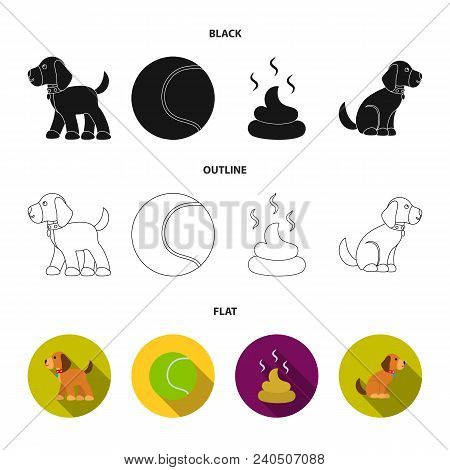 Dog Sitting, Dog Standing, Tennis Ball, Feces. Dog Set Collection Icons In Black, Flat, Outline Styl
