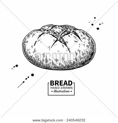 Bread Vector Drawing. Bakery Product Sketch. Vintage Food Illustration For Shop, Bread House Label, 