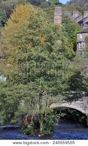 The River Running Thought The Center Of The Town Of Hebden Bridge With Houses Mill Chimneys And The 