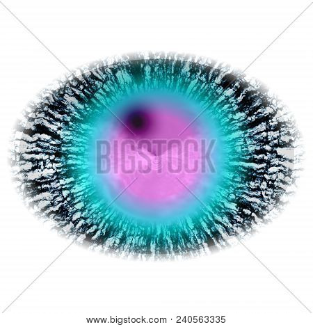 Isolated Elliptic Animal Blue Eye In Rtg Picture. The Eye With Large Pupil And Bright Retina. Shinni