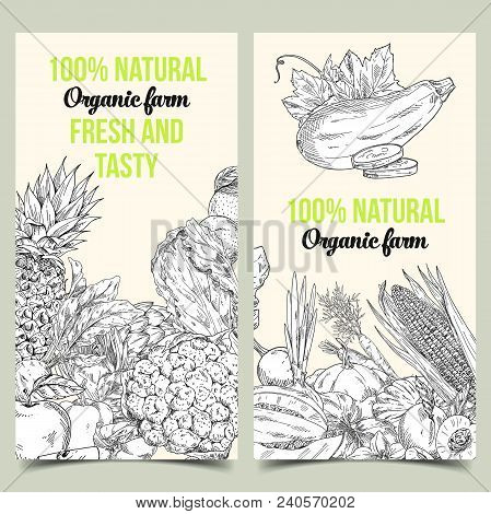 Sketched Fruits And Vegetables On Natural Market Banner Or Card, Vegetarian Shop Sign. Pineapple Or 