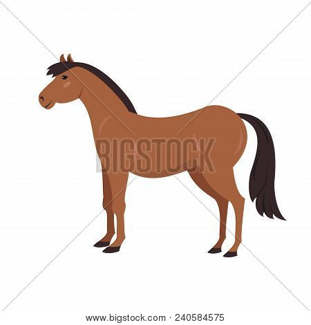 Cute Horse On White Background. Vector Illustration.