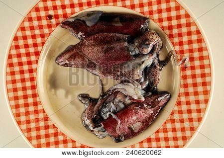 Fresh Squids Calamar On The Fish Market Counter