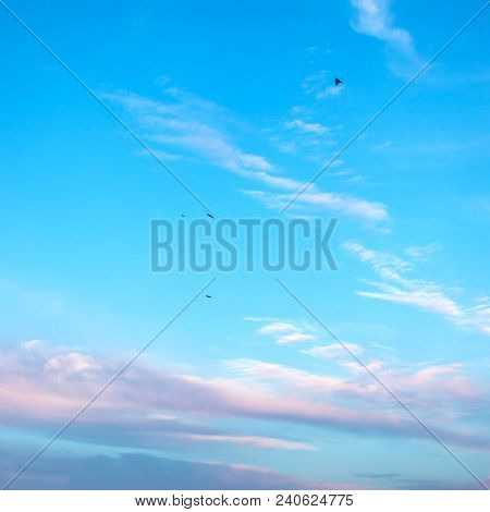 Beautiful Purplish Pink Clouds Soar Across The Screen Over A Deep Blue Background.