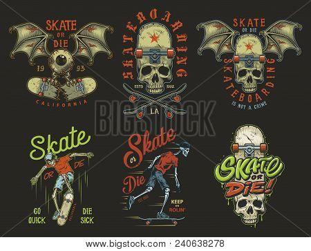 Set Of Skateboarding Emblems In Colour Vintage Style. Vector Illustration.