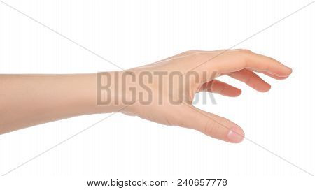 Woman Hand On A White Background Close-up