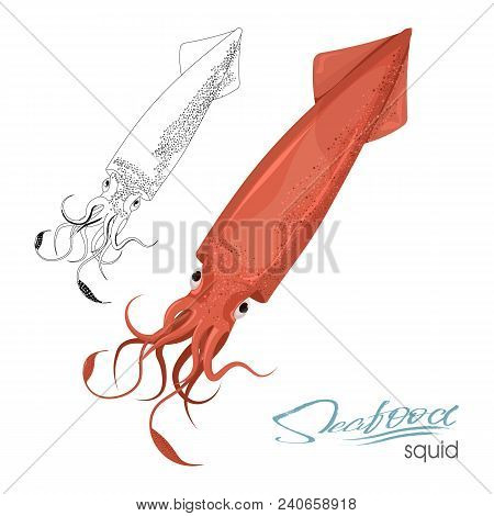 Squid Of Red Color Design Flat. Red Squid With Tentacles Isolated On White Background. Creature Floa