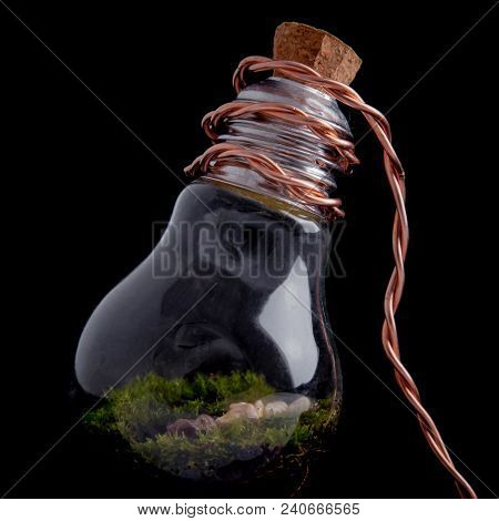 Florarium With Stones In Lamp On Black Background