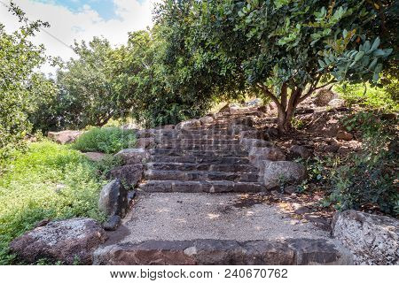 Path With Steps In Ruins Of Ancient Jewish Settlement Umm El Kanatir - Mother Arches On The Golan He