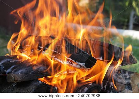 Fire In Nature . Bonfire In The Forest