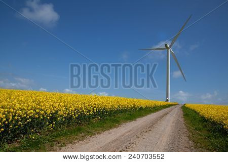 Rapeseed Fields And A Wind Turbine Near The Small Village And Civil Parish Of Tythegston In South Br
