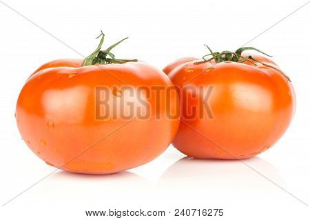 Two Red Tomato With Vine Ends Isolated On White Background Fresh