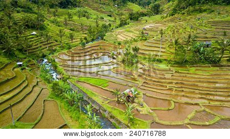Aerial view of the Jatiluwih terraces ricefield in Bali, Unesco world heritage, Indonesia