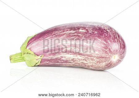 One Striped Violet Eggplant Isolated On White Background