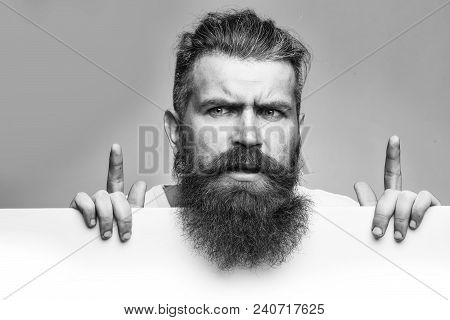 Handsome Bearded Man With Long Lush Beard And Moustache On Thougtful Face With White Paper Sheet In 