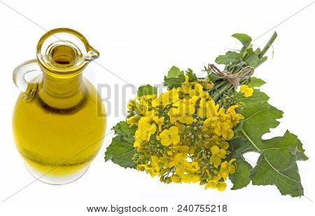Rapeseed Oil In A Glass Bottle Isolated On A White Background