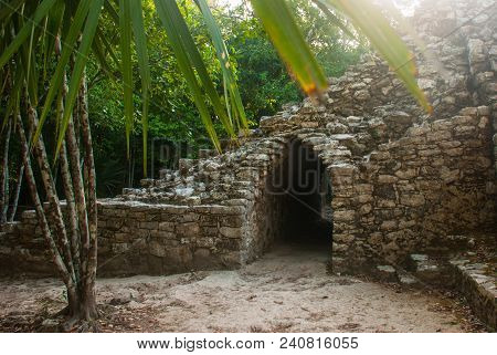 Coba, Mexico. Ancient Mayan City In Mexico. Coba Is An Archaeological Area And A Famous Landmark Of 