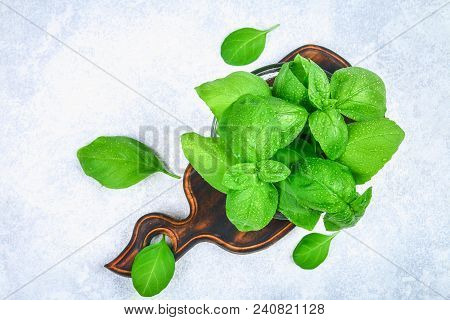 Green Fresh Homemade Basil, Spicy Herb In A Glass Bowl On A Cutting Board On A Gray Concrete Table