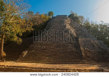 Coba, Mexico, Yucatan: Mayan Nohoch Mul Pyramid In Coba. Upstairs Are 120 Narrow And Steep Steps. Cl