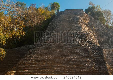Coba, Mexico, Yucatan: Mayan Nohoch Mul Pyramid In Coba. Upstairs Are 120 Narrow And Steep Steps. Cl