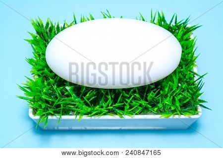 Soap In The Soap Box On The Green Grass On A Sky Blue Background. Top View.