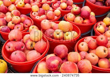 Bright Colored Apples In Buckets, Side View