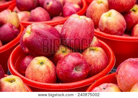 Bright Colored Apples In Buckets, Close Up View