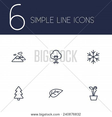 Set Of 6 Nature Icons Line Style Set. Collection Of Pinnacle, Tree, Spruce And Other Elements.