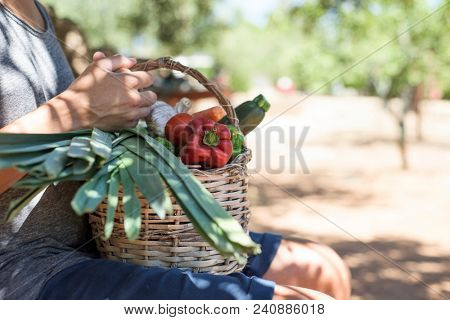 closeup of a young caucasian man, sitting outdoors, with a rustic basket in his lap full of vegetables freshly collected in an organic orchard