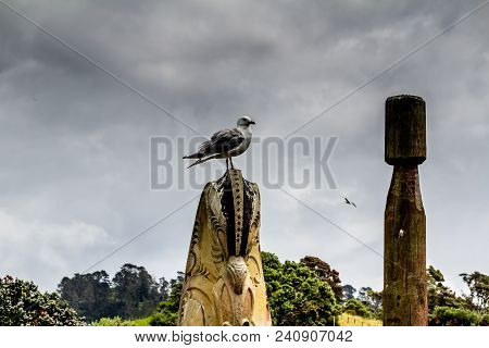 Seagulls Can Be Seen Perched And Buzzing Abour All Over The Island