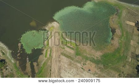 Aerial View Of Paoay Lake With Water Lilies, Philippines. Paoay Lake National Park, Ilocos Norte.