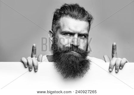 Man With Long Lush Beard And Moustache On Thougtful Face With White Paper Sheet In Studio On Grey Ba