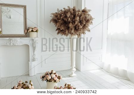 Dry Thistle, Burdock And Reeds Common Bulrush In Vase Isolated On White Wall Background.