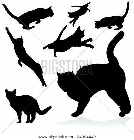 Cat černé siluety