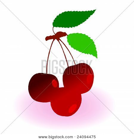 Třešeň ilustrace