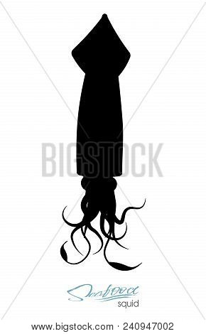 Squid Fish Silhouette. Icon Squid With Tentacles Isolated On White Background. Creature Floating In 