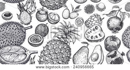 Seamless Vector Pattern With Exotic Fruits. Pineapple, Avocado, Pomegranate, Lychee, Durian, Passion